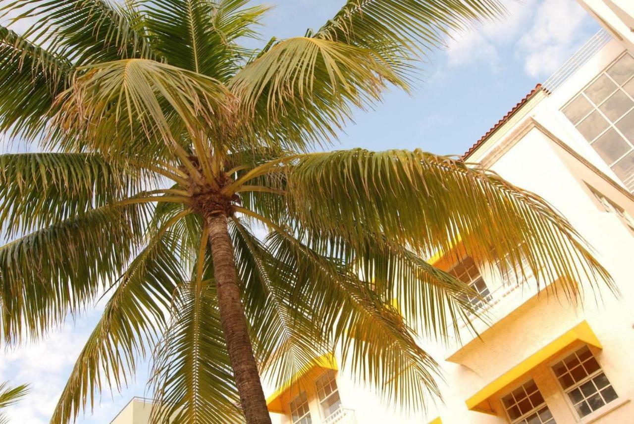 2 Bedroom Ocean Drive Newly Renovated Miami Beach Ngoại thất bức ảnh